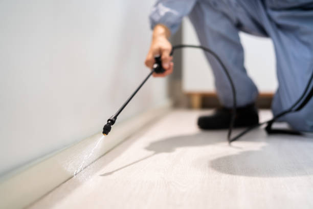 Licensed Pest Control service in Ponderosa Park, CO - Show Me Pest Control