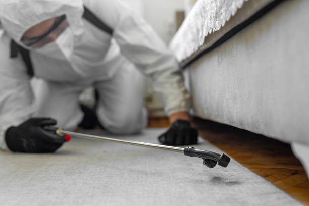 Professional Ant Control technician working in Ponderosa Park, CO