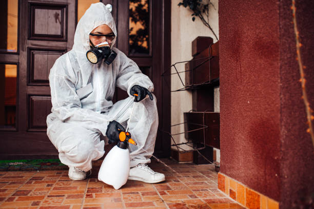 Reliable Ant Control contractor in Ponderosa Park, CO by Show Me Pest Control